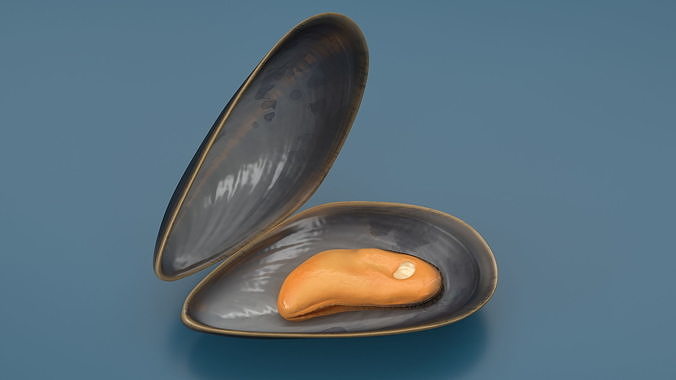 Boiled Sea Mussel 3D model 3