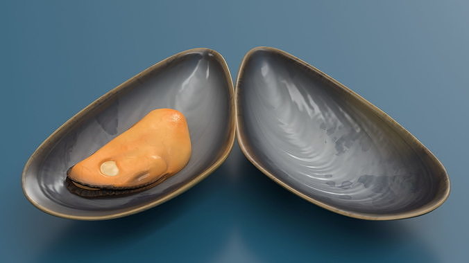 Boiled Sea Mussel 3D model 4