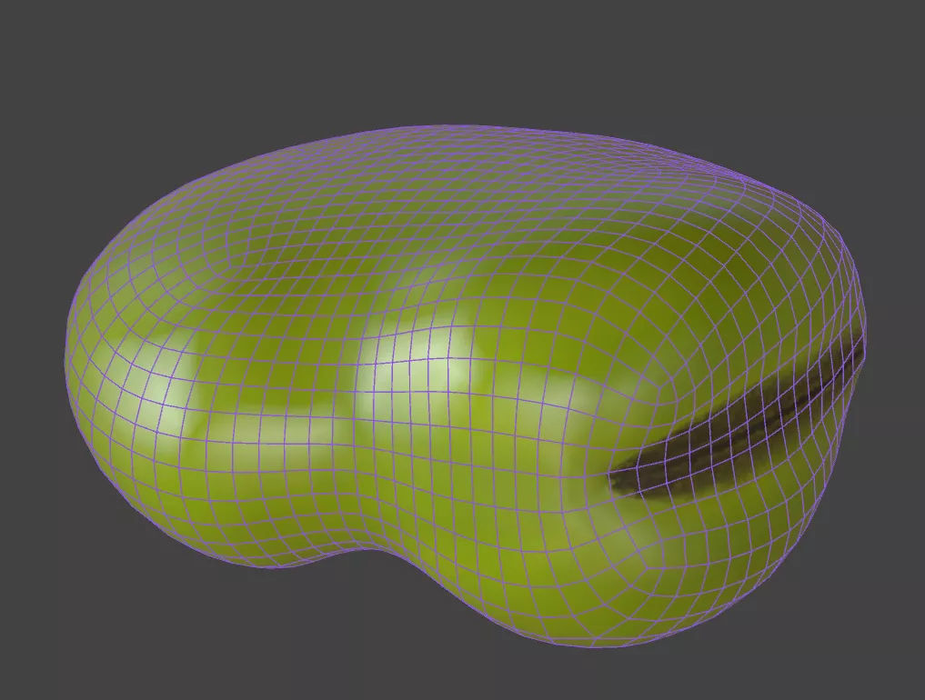 Fava Bean 3D model_6