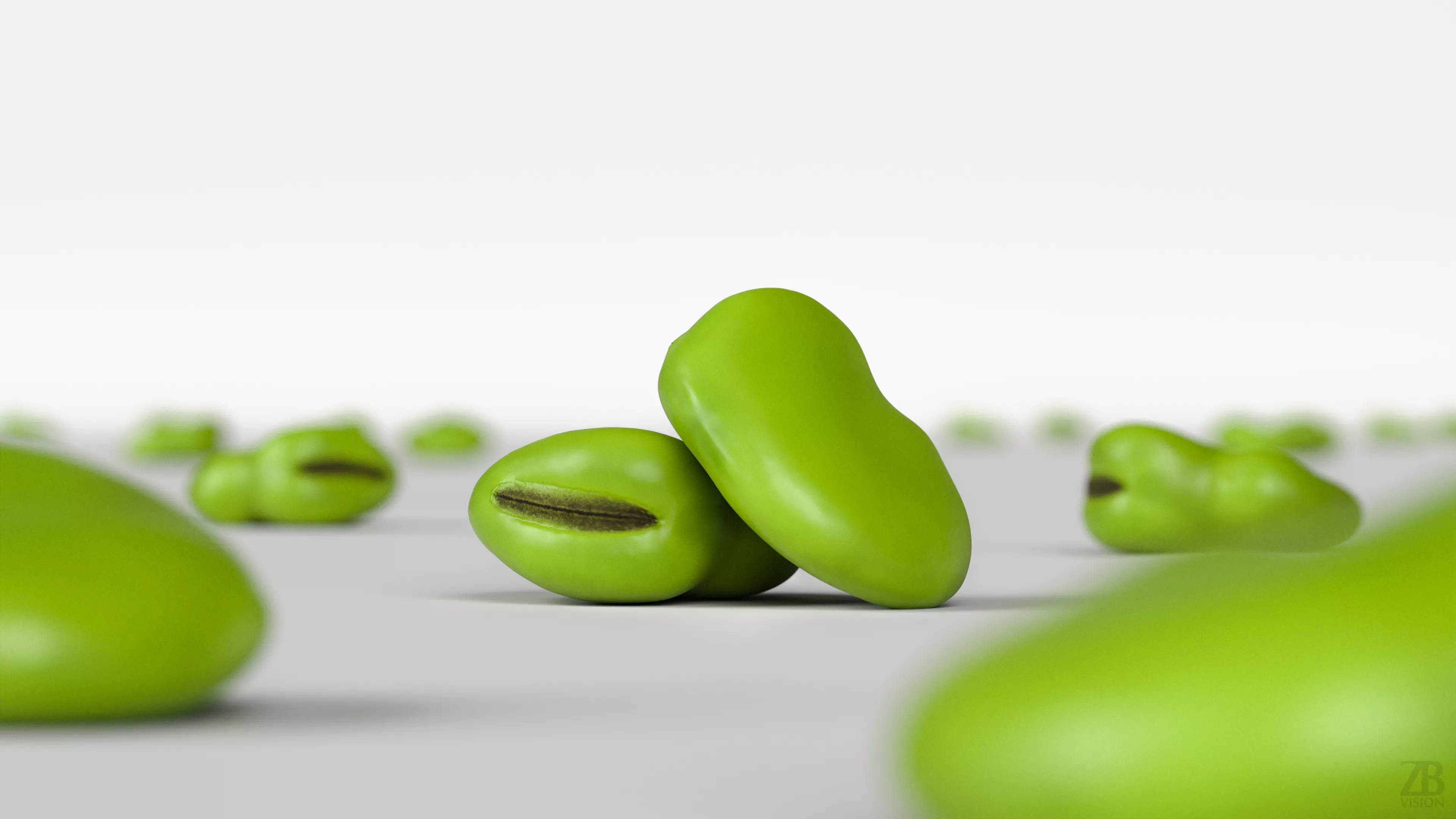 Fava Bean 3D model_1