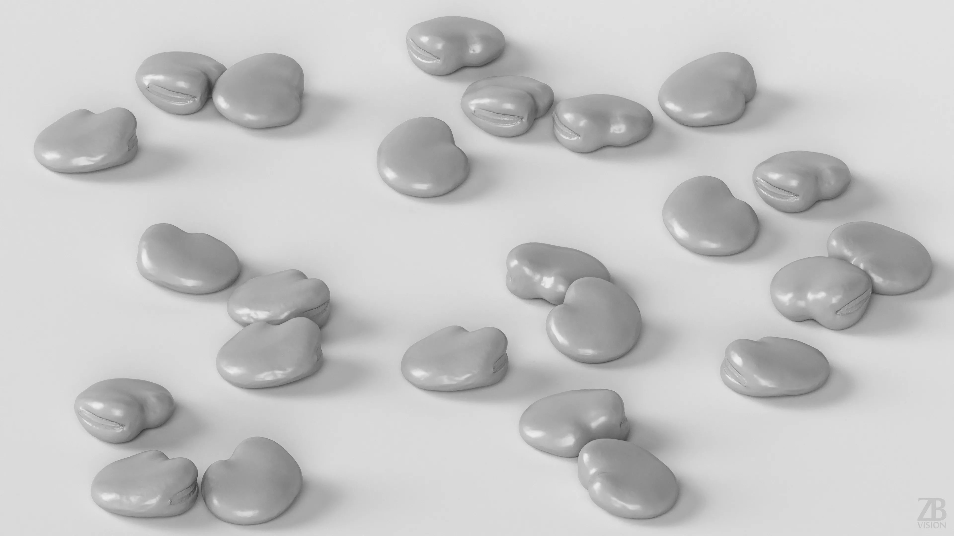 Fava Bean 3D model_3