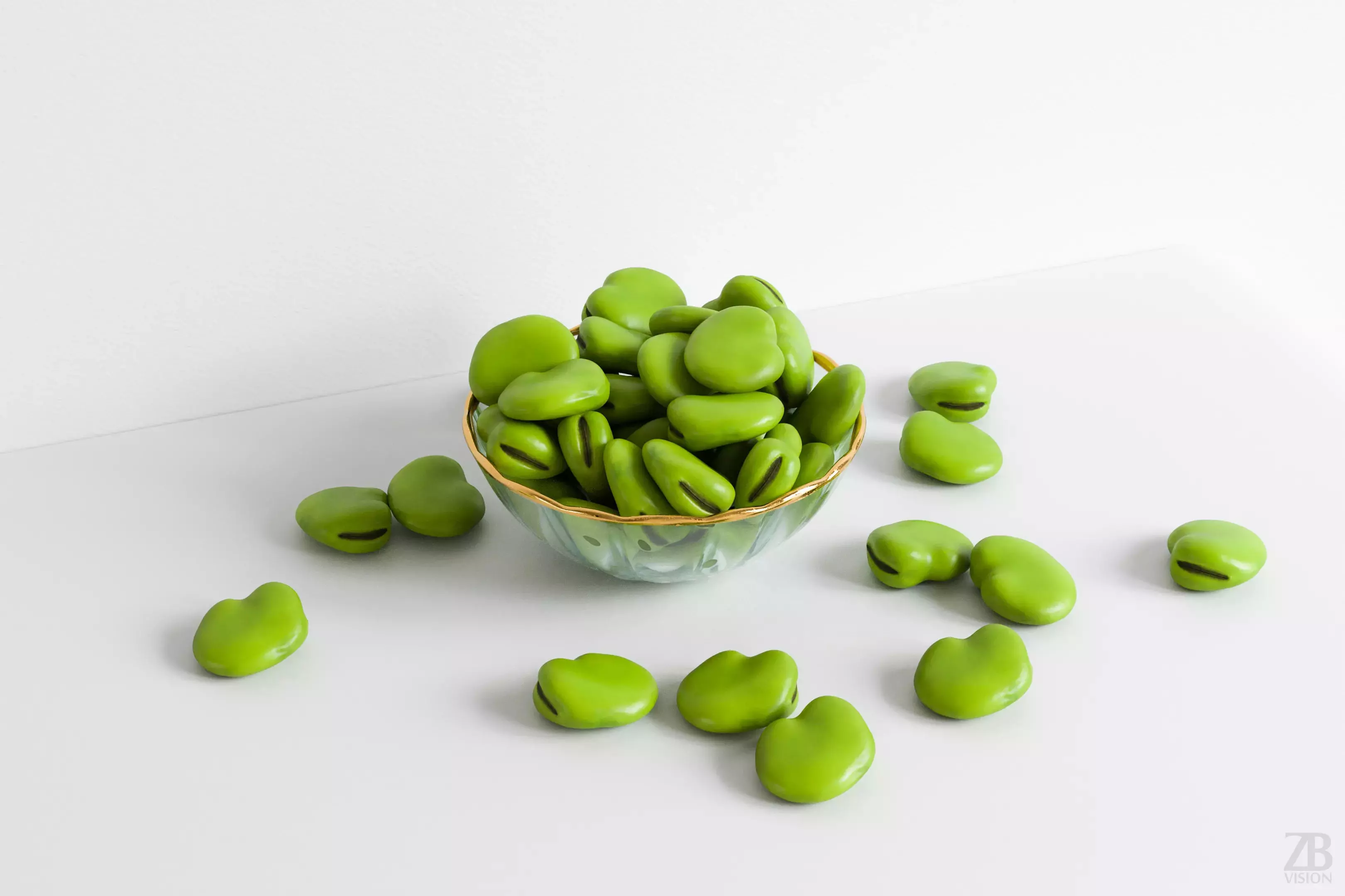 Fava Bean 3D model_0