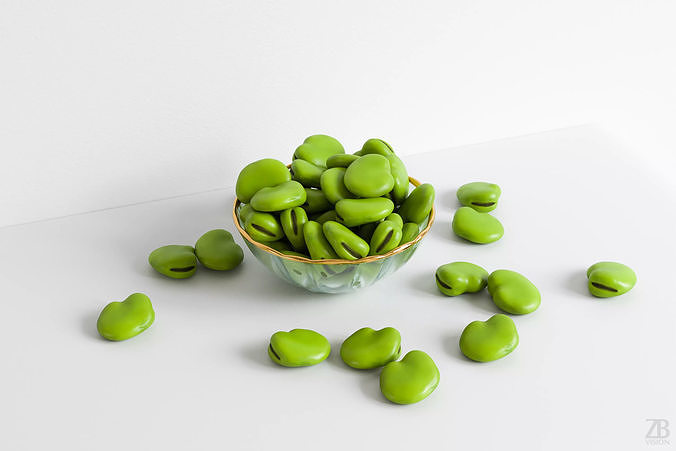 Fava Bean 3D model