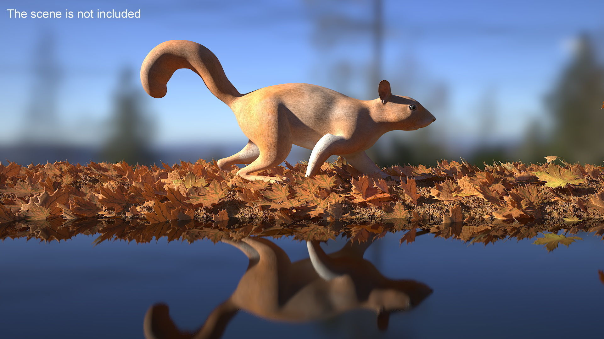 Red Squirrel Rigged for Maya 3D model