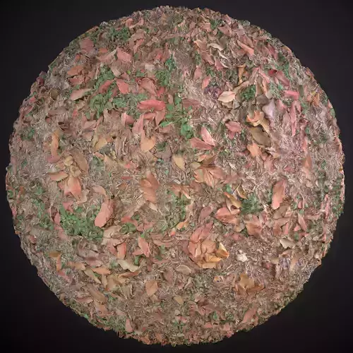 Photogrammetry Dirt with Leaves Texture