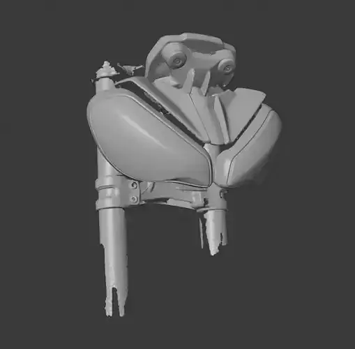 SCAN 3D TRIUMPH SPEED TRIPLE 1200 RS