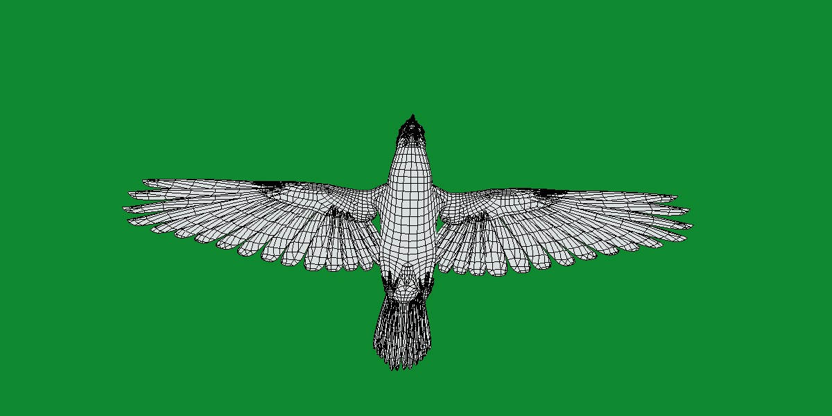 Blue Jay Bird Low-poly 3D model_11