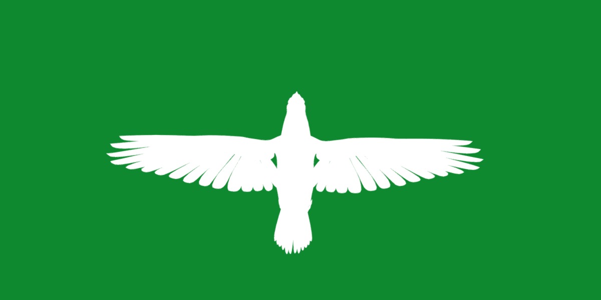 Blue Jay Bird Low-poly 3D model_5