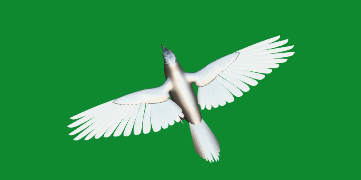 Blue Jay Bird Low-poly 3D model_9