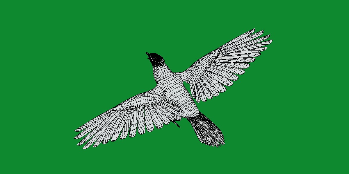 Blue Jay Bird Low-poly 3D model_12