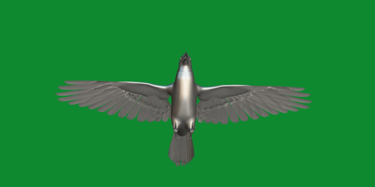 Blue Jay Bird Low-poly 3D model_10