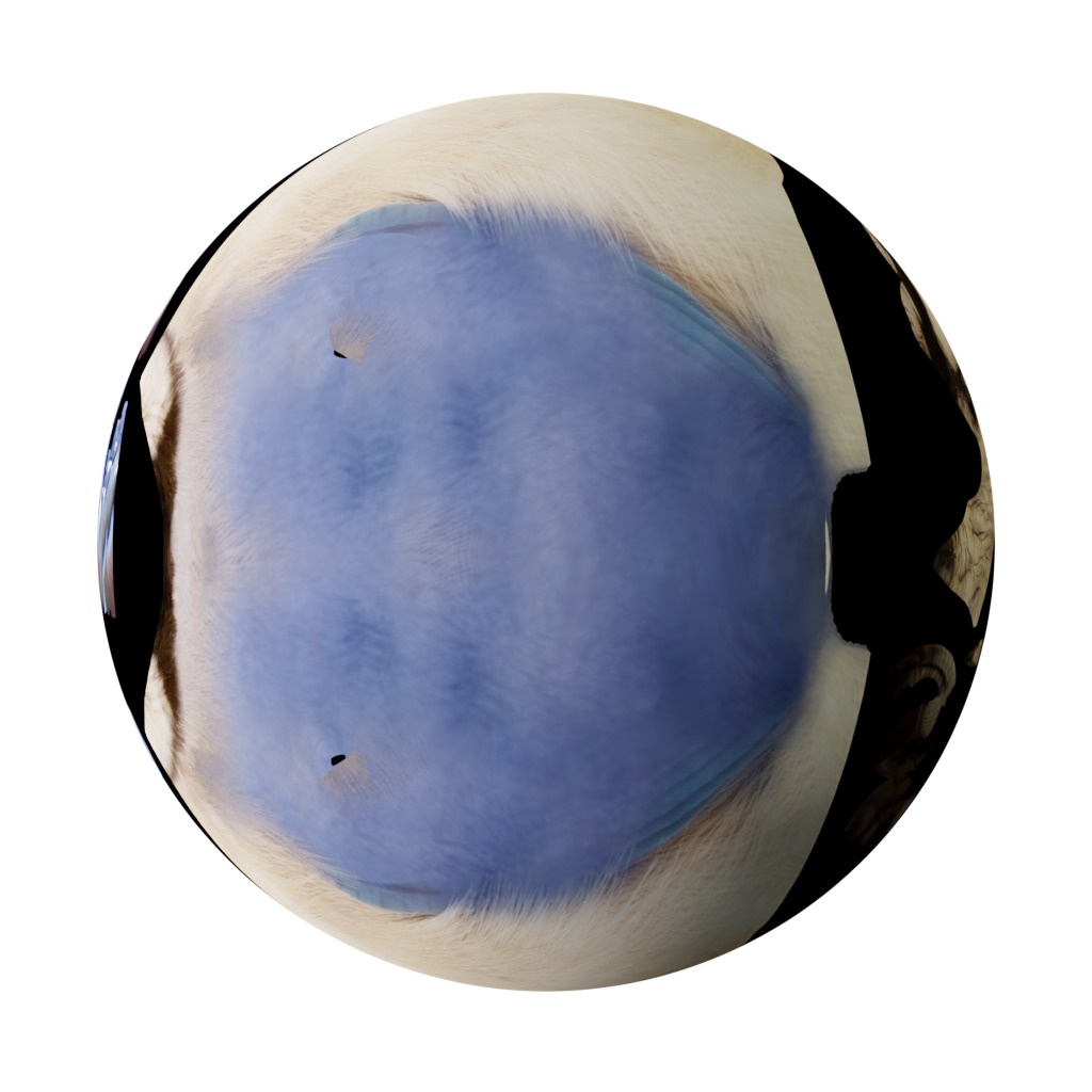 Blue Jay Bird Low-poly 3D model_39