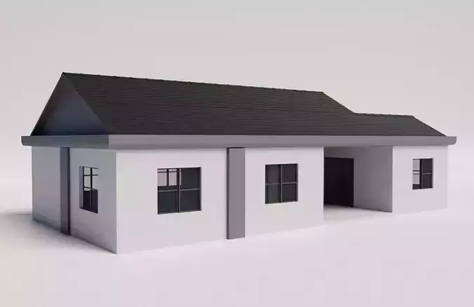 Medium sized house with modern design