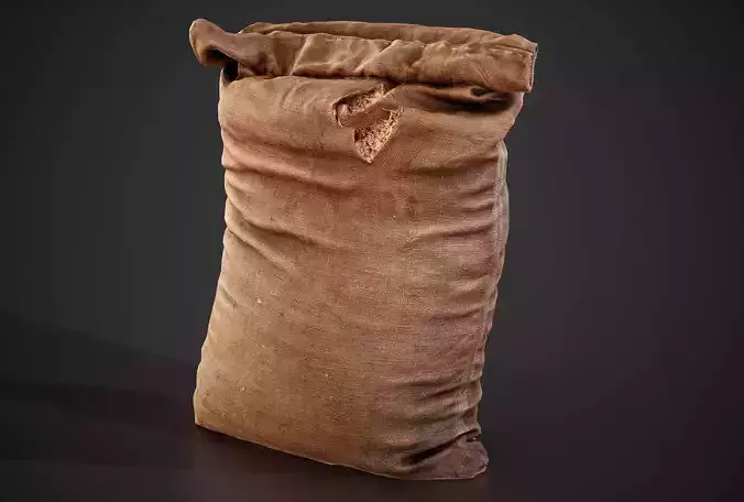 Realistic old burlap bag 06 photo scan
