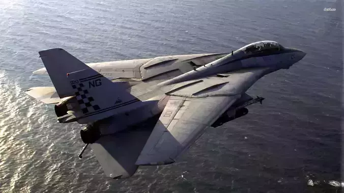 Grumman F-14 Tomcat