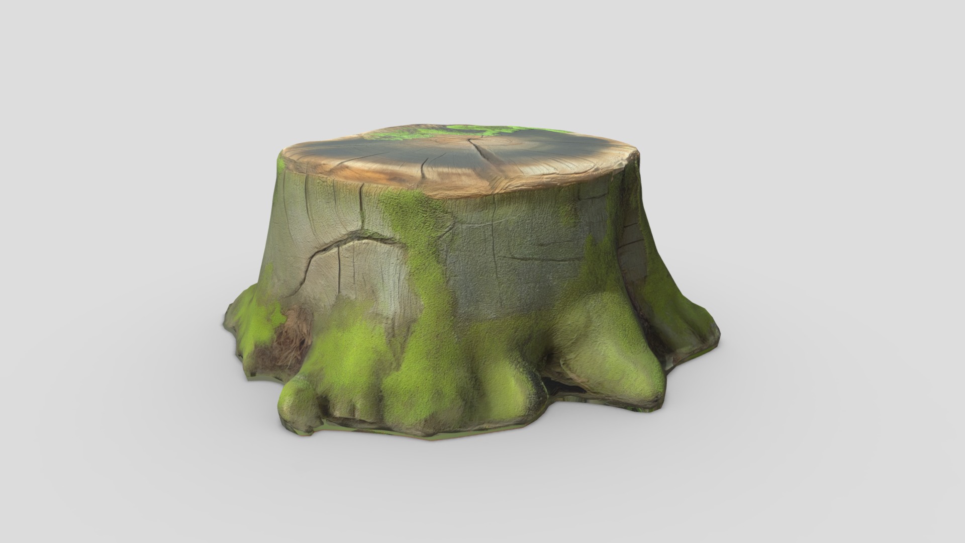 Tree Stump Mossy Low-poly 3D model_3