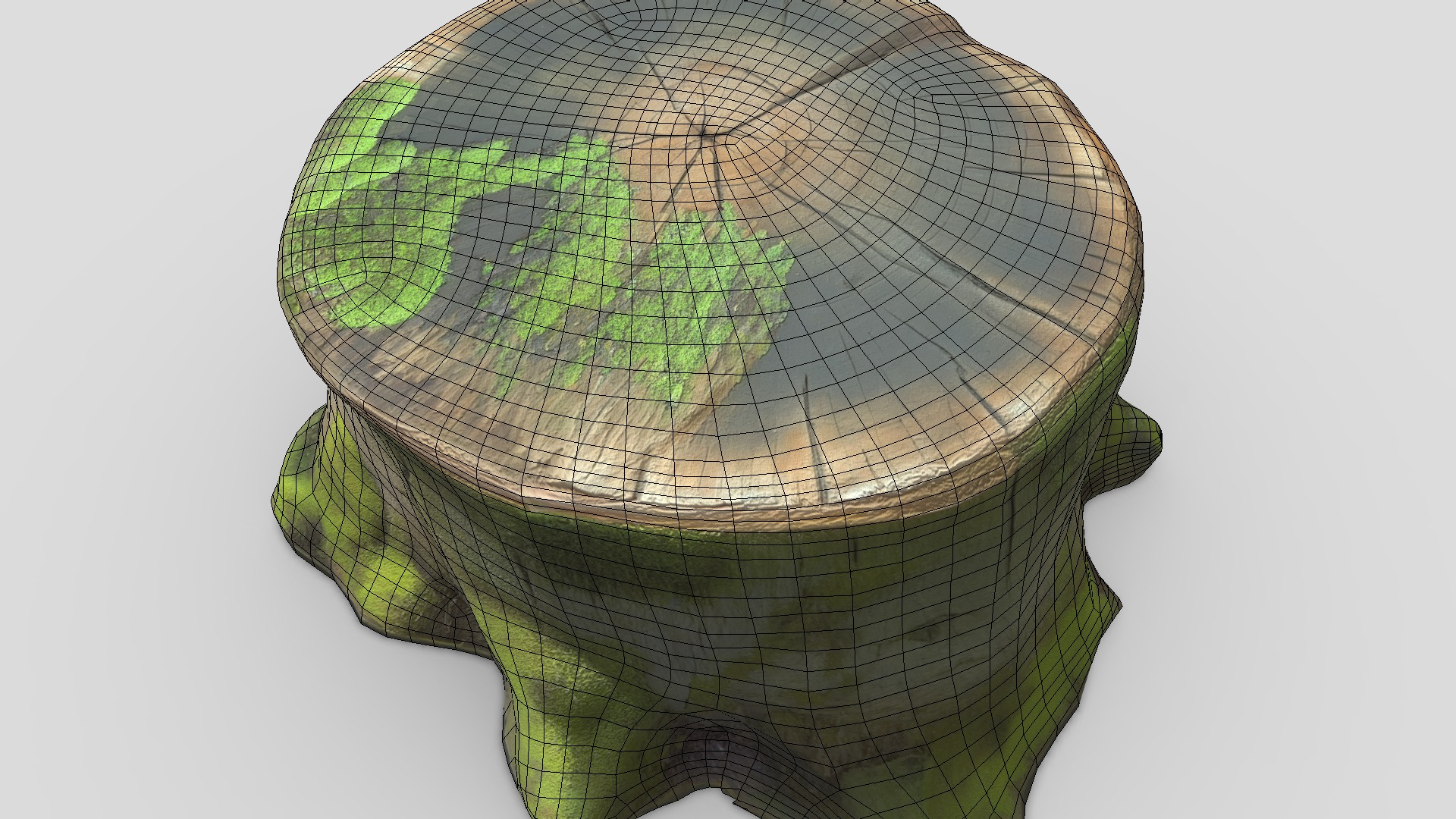 Tree Stump Mossy Low-poly 3D model_10