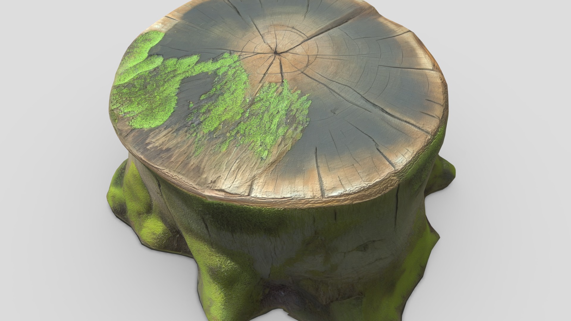 Tree Stump Mossy Low-poly 3D model_9