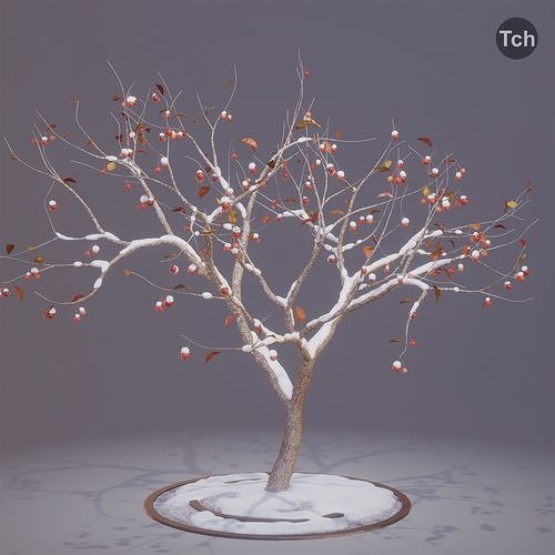 Winter tree 3D model