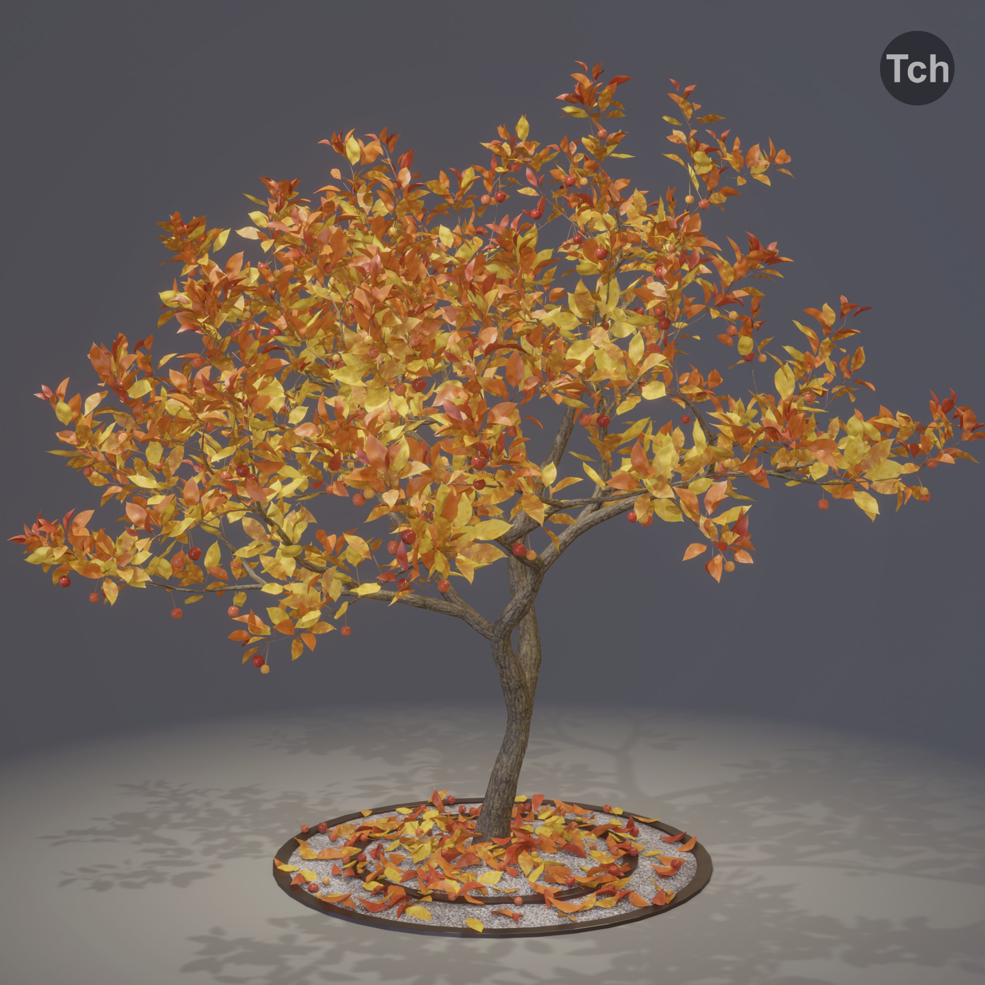 Four seasons tree 3D model_11