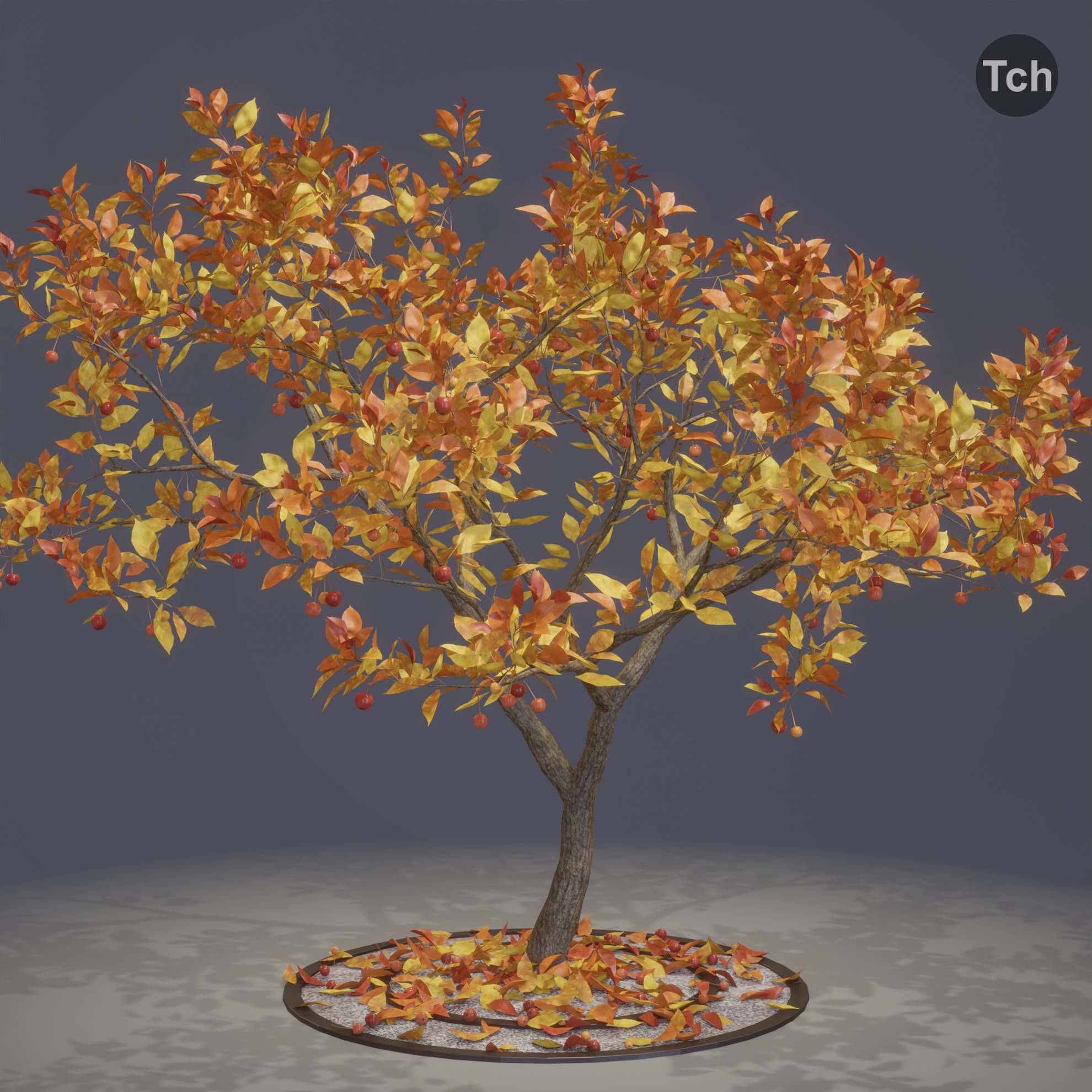 Four seasons tree 3D model_10