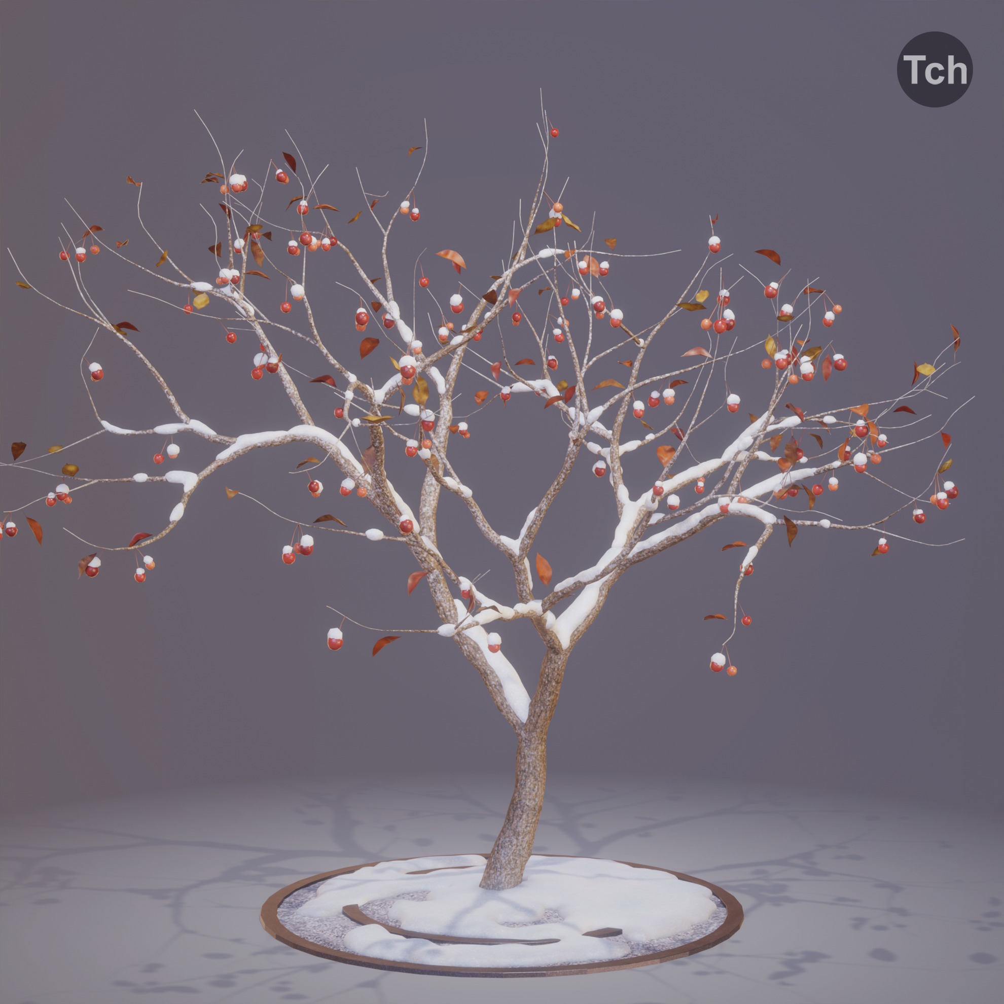 Four seasons tree 3D model_14