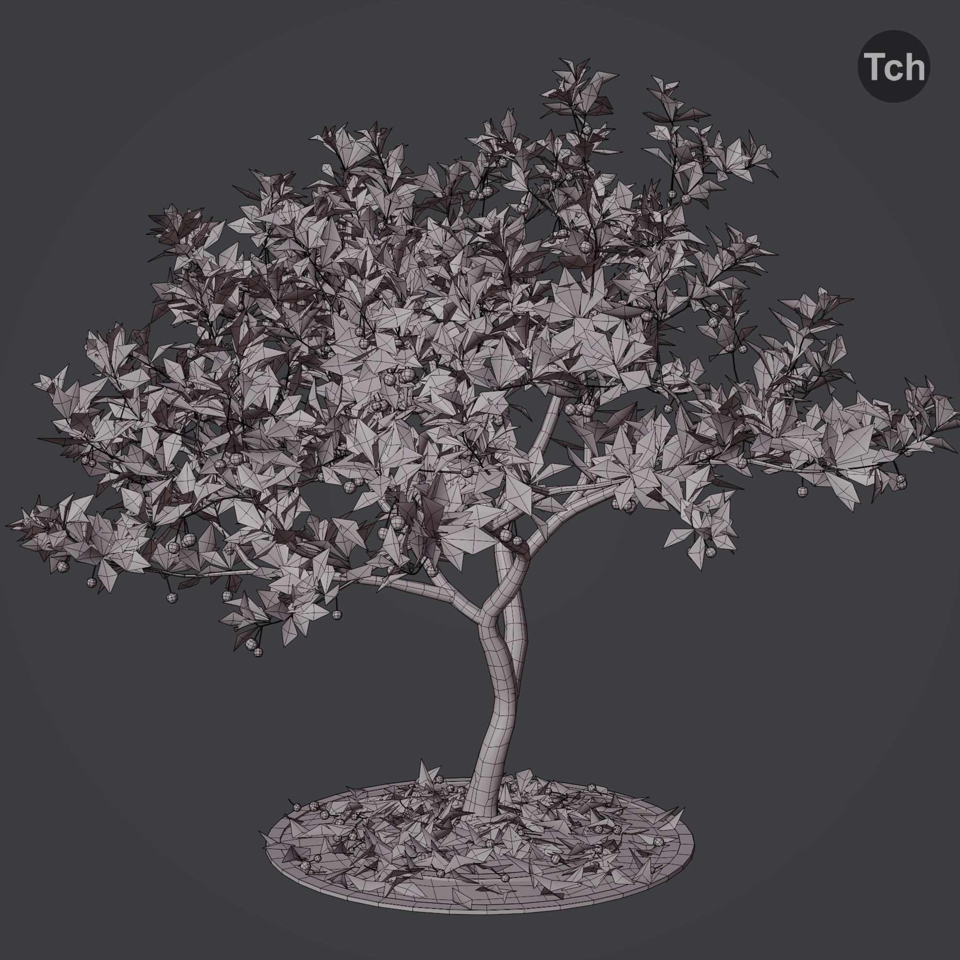 Four seasons tree 3D model_12
