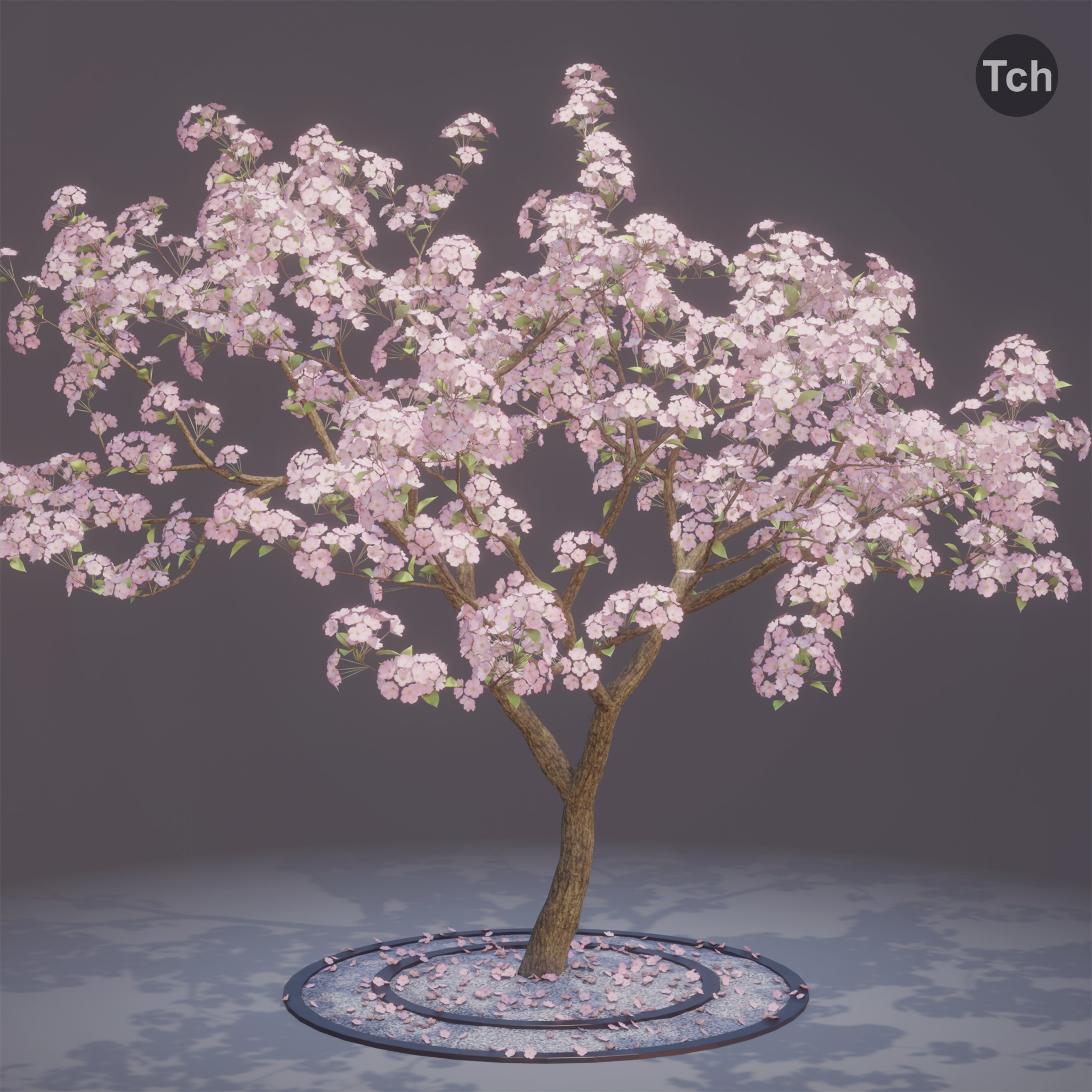 Four seasons tree 3D model_2