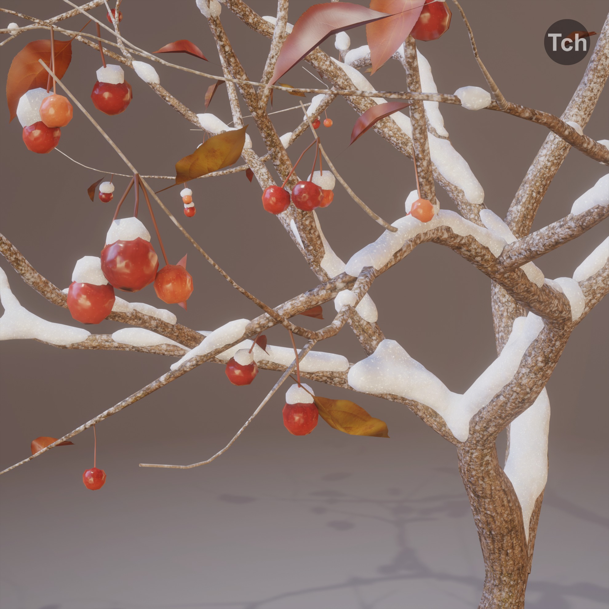 Four seasons tree 3D model_17