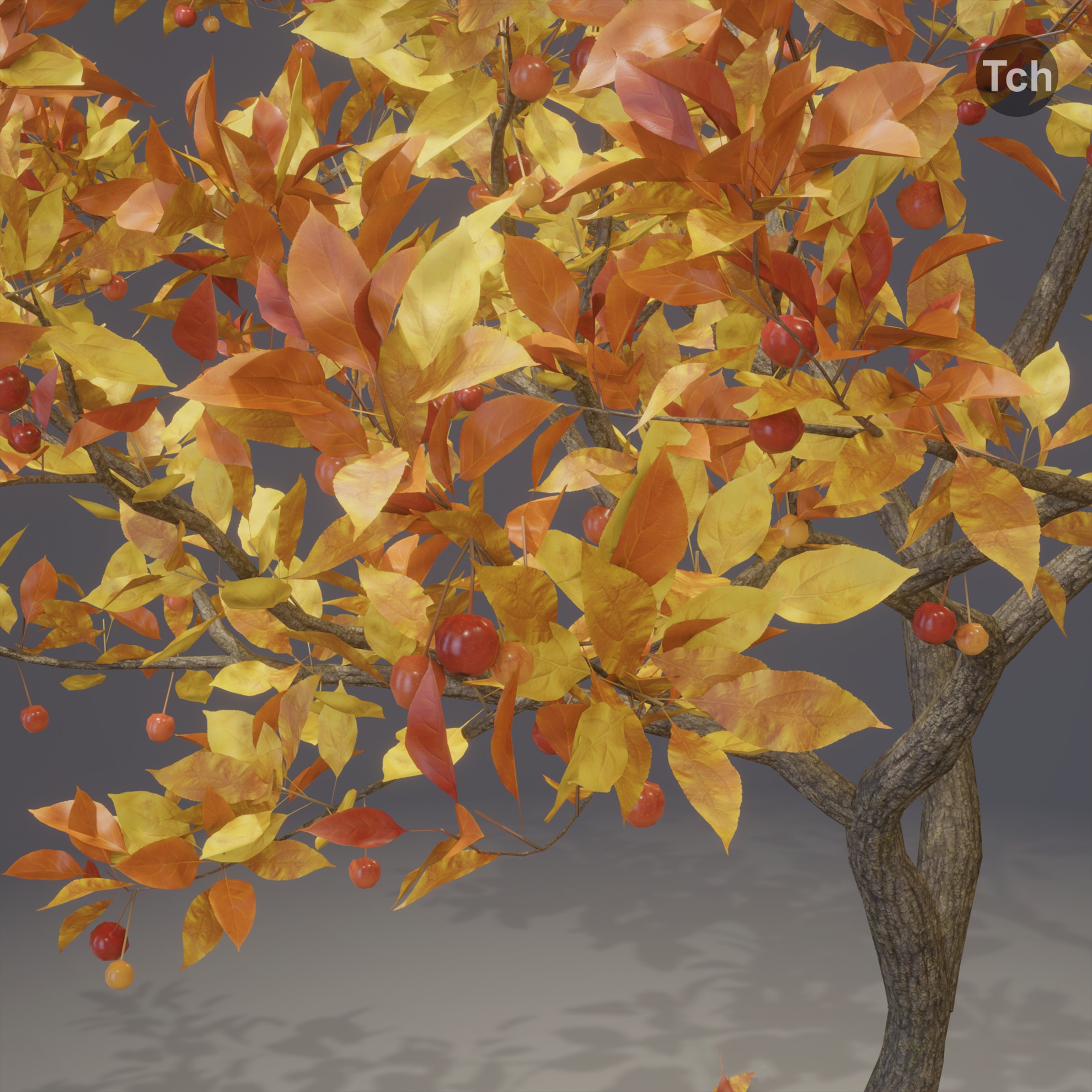 Four seasons tree 3D model_13