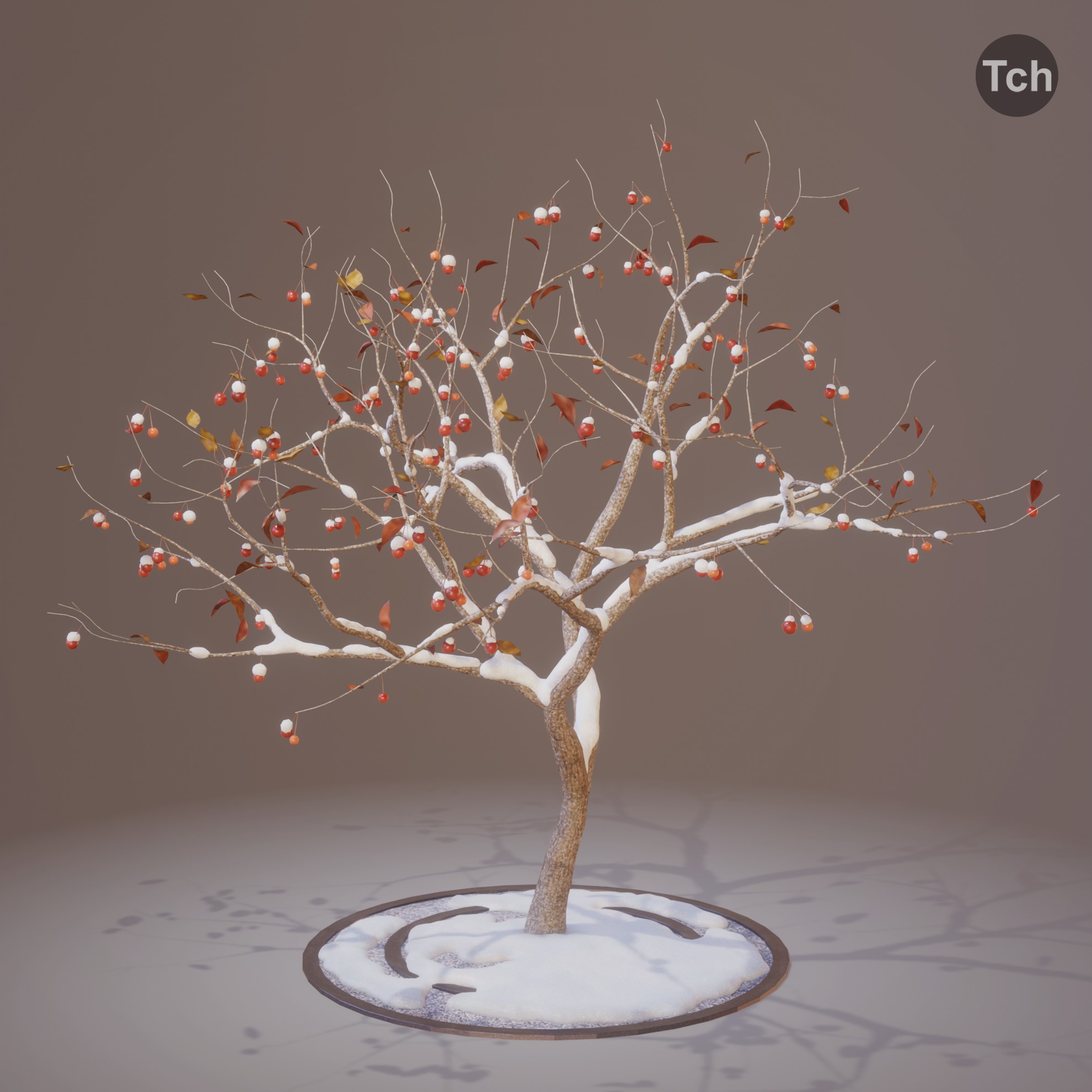 Four seasons tree 3D model_15