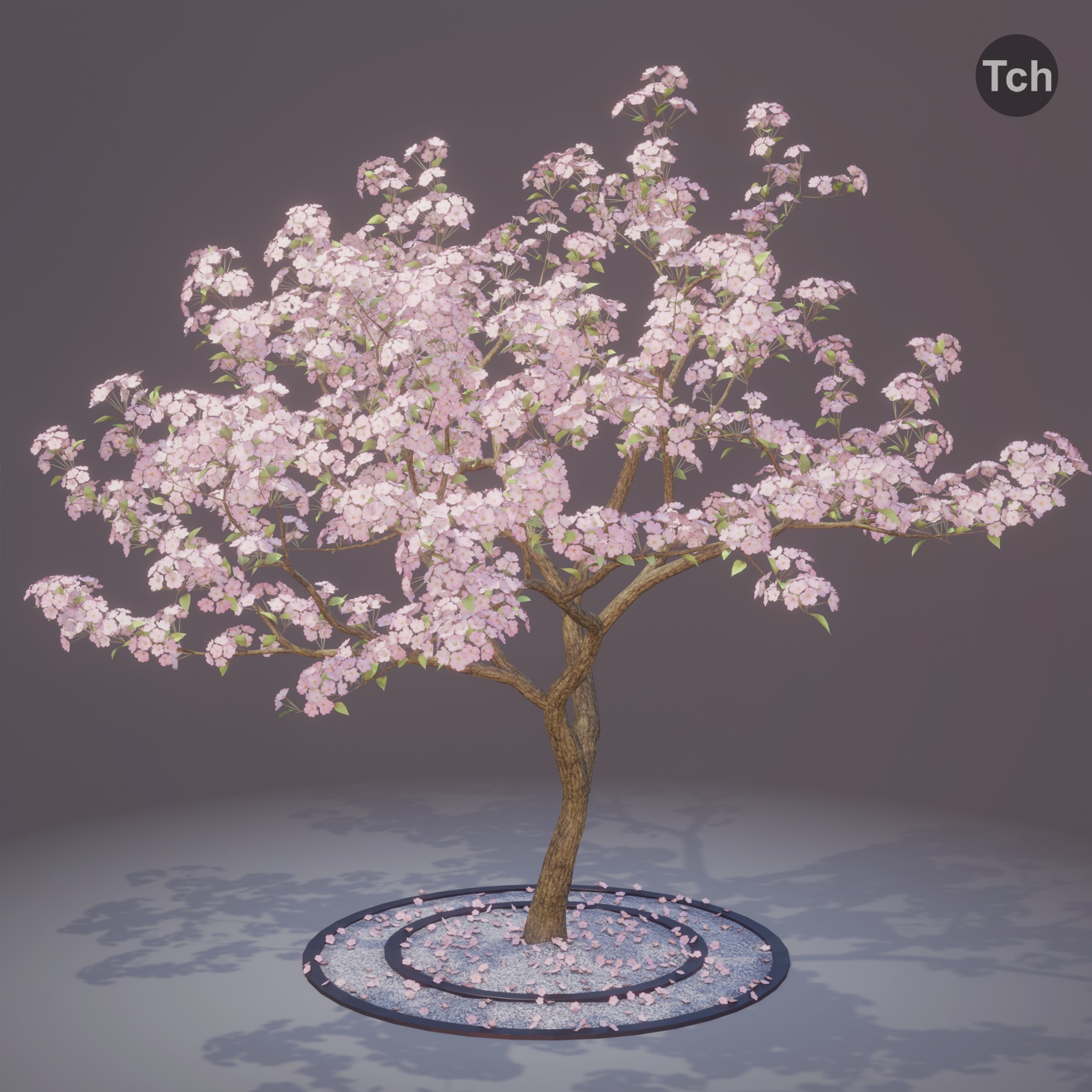 Four seasons tree 3D model_3