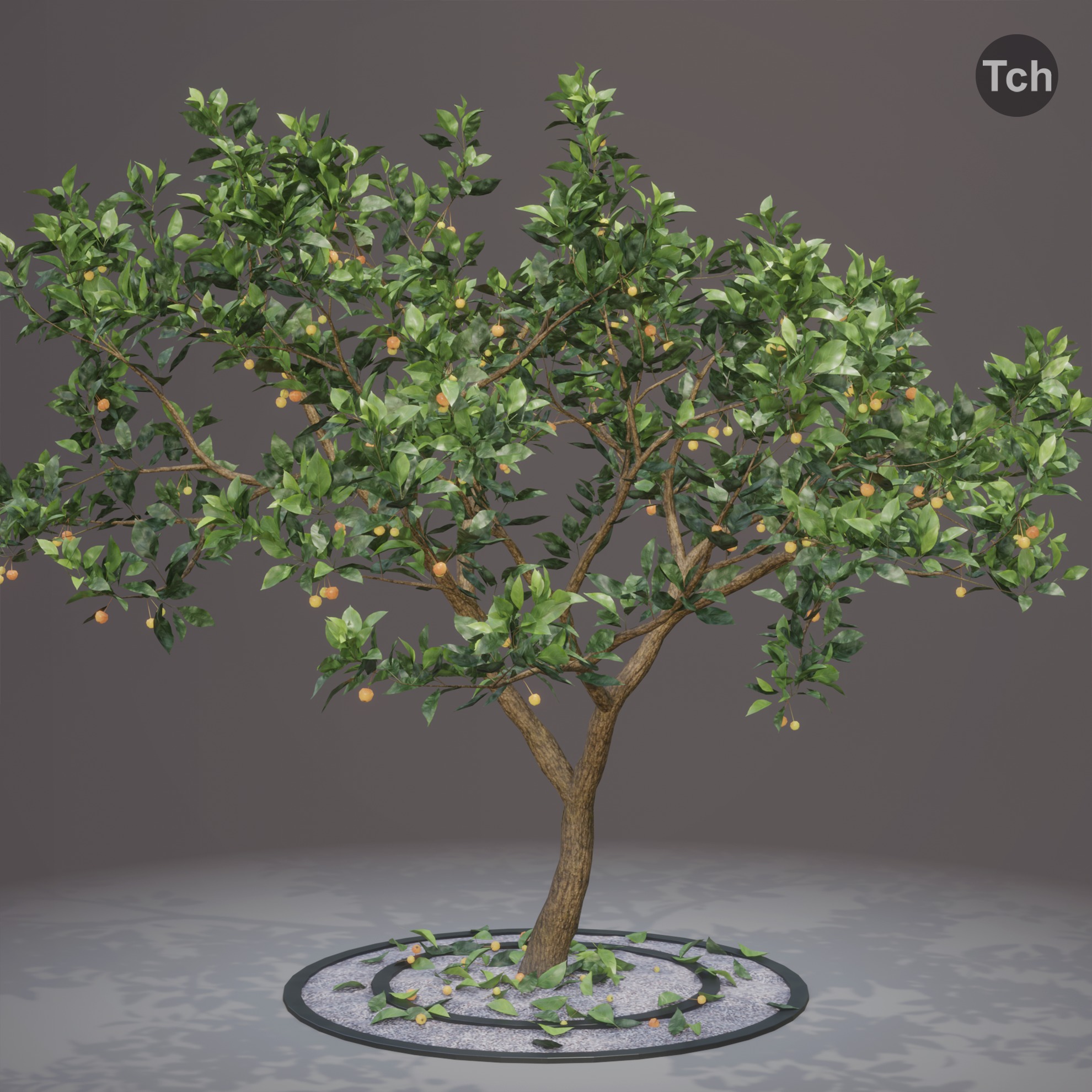 Four seasons tree 3D model_6