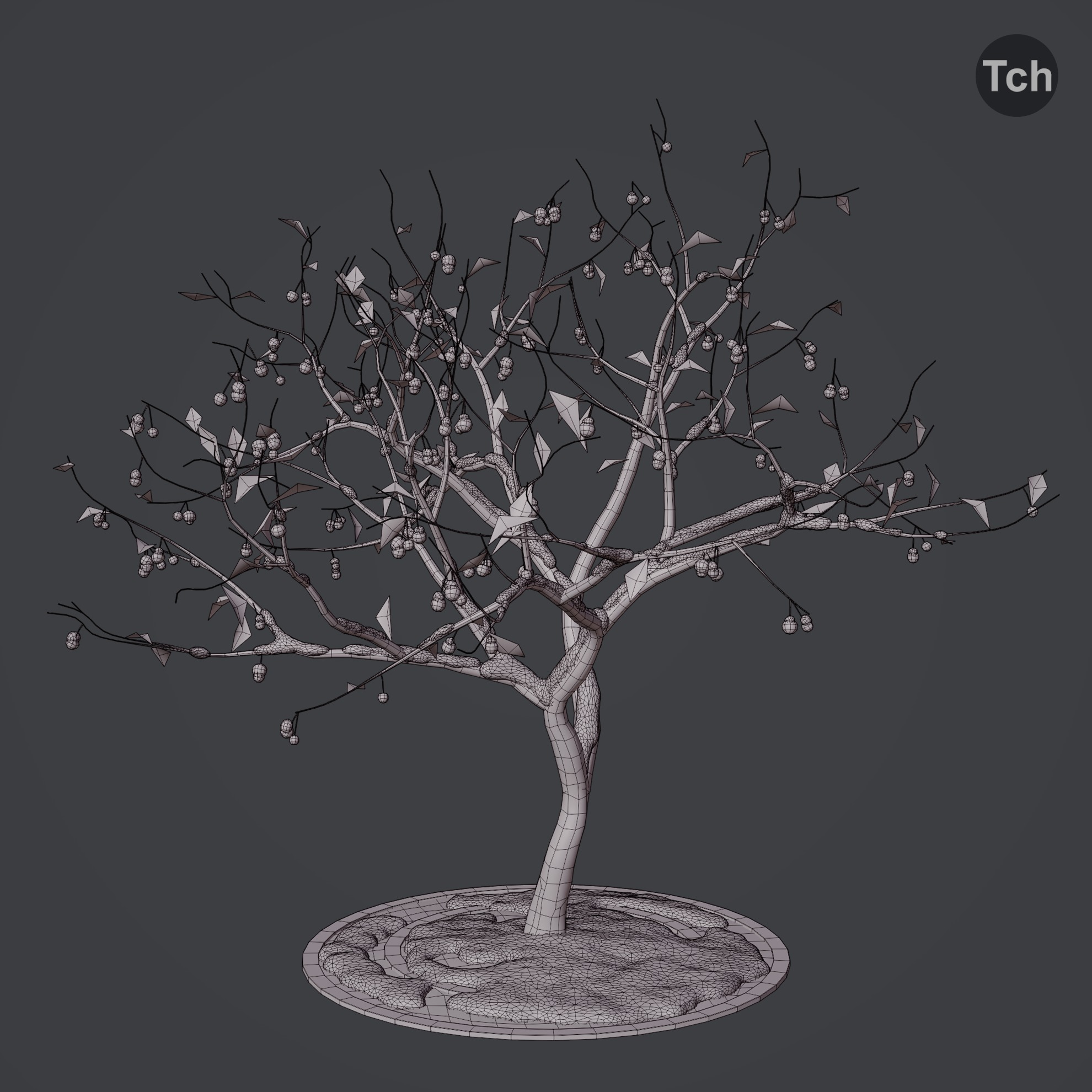 Four seasons tree 3D model_16