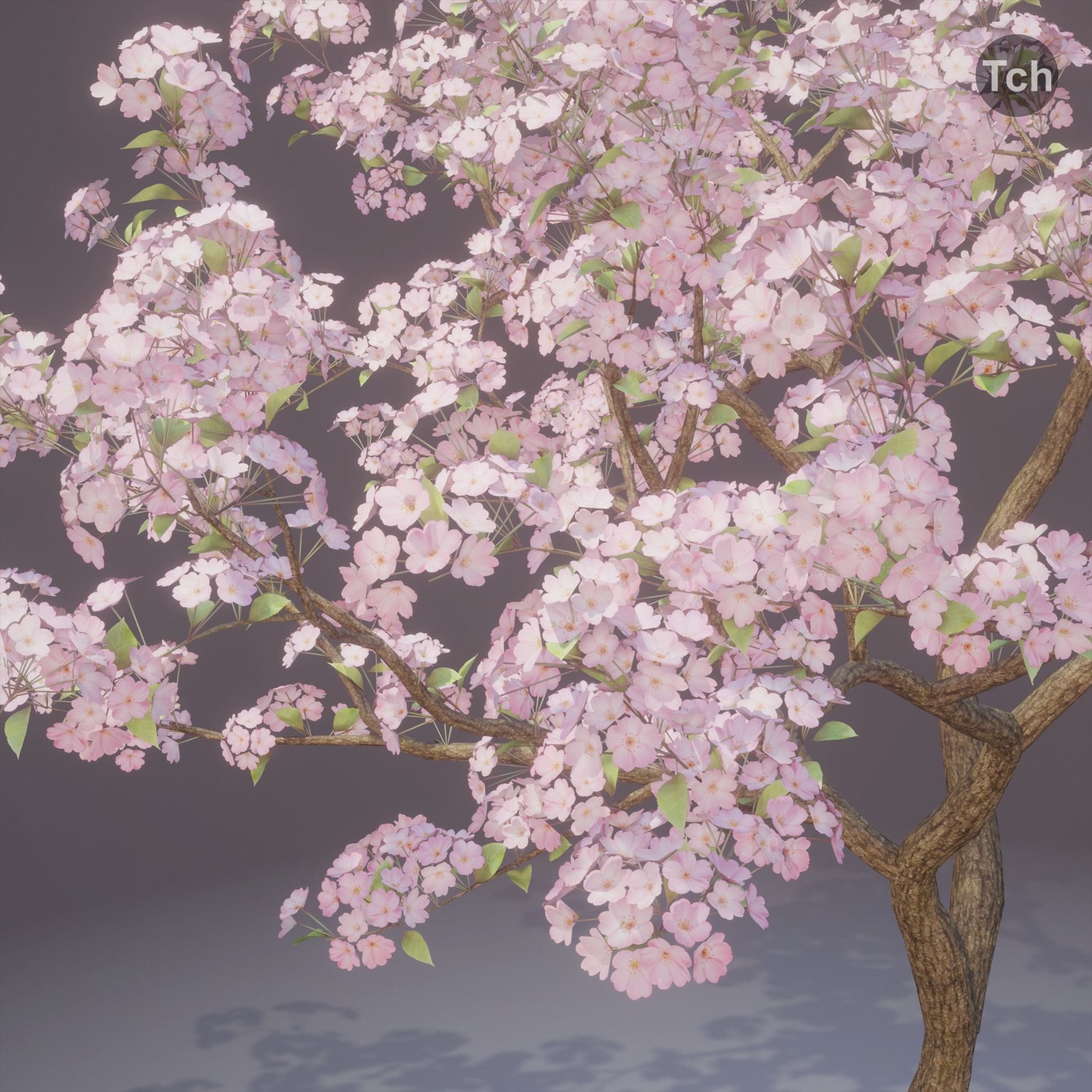 Four seasons tree 3D model_5