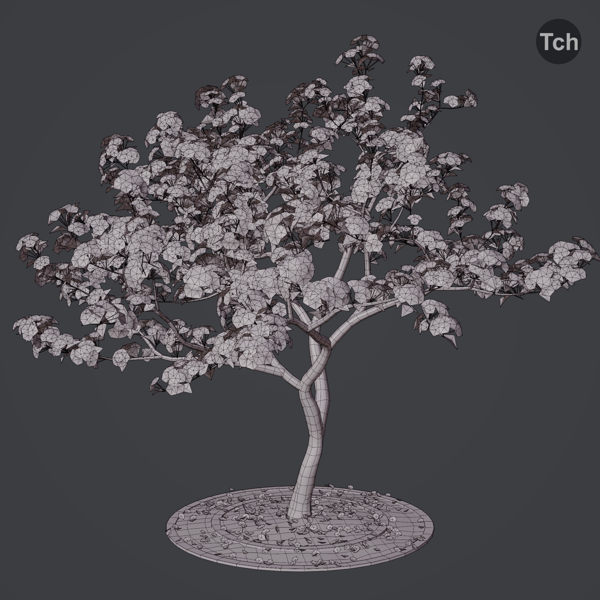 Four seasons tree 3D model_4