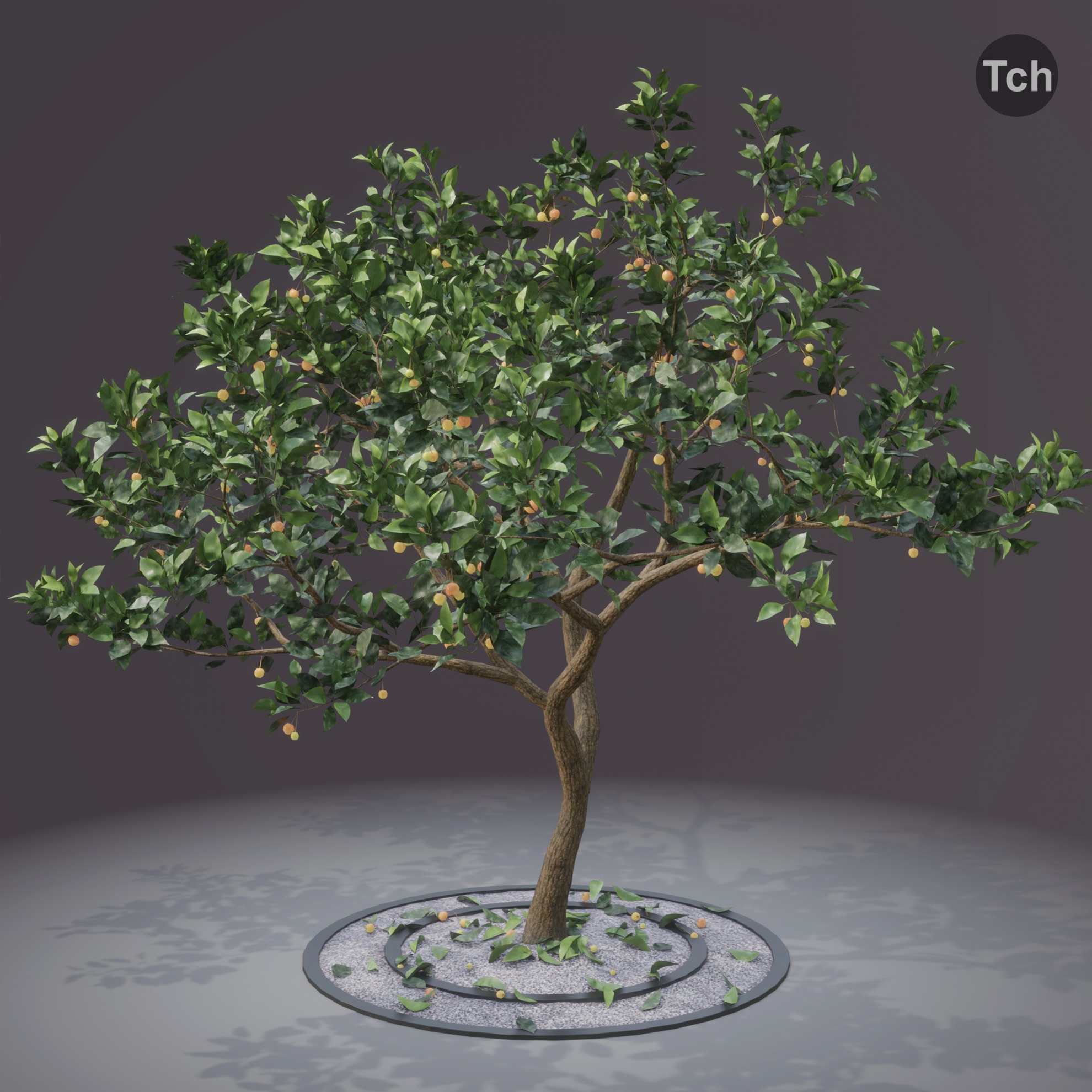Four seasons tree 3D model_7