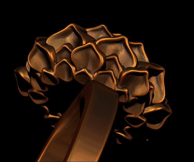 Lotus Ring 3D print model_4