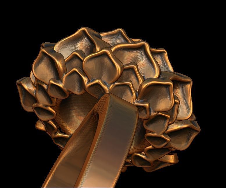 Lotus Ring 3D print model_3