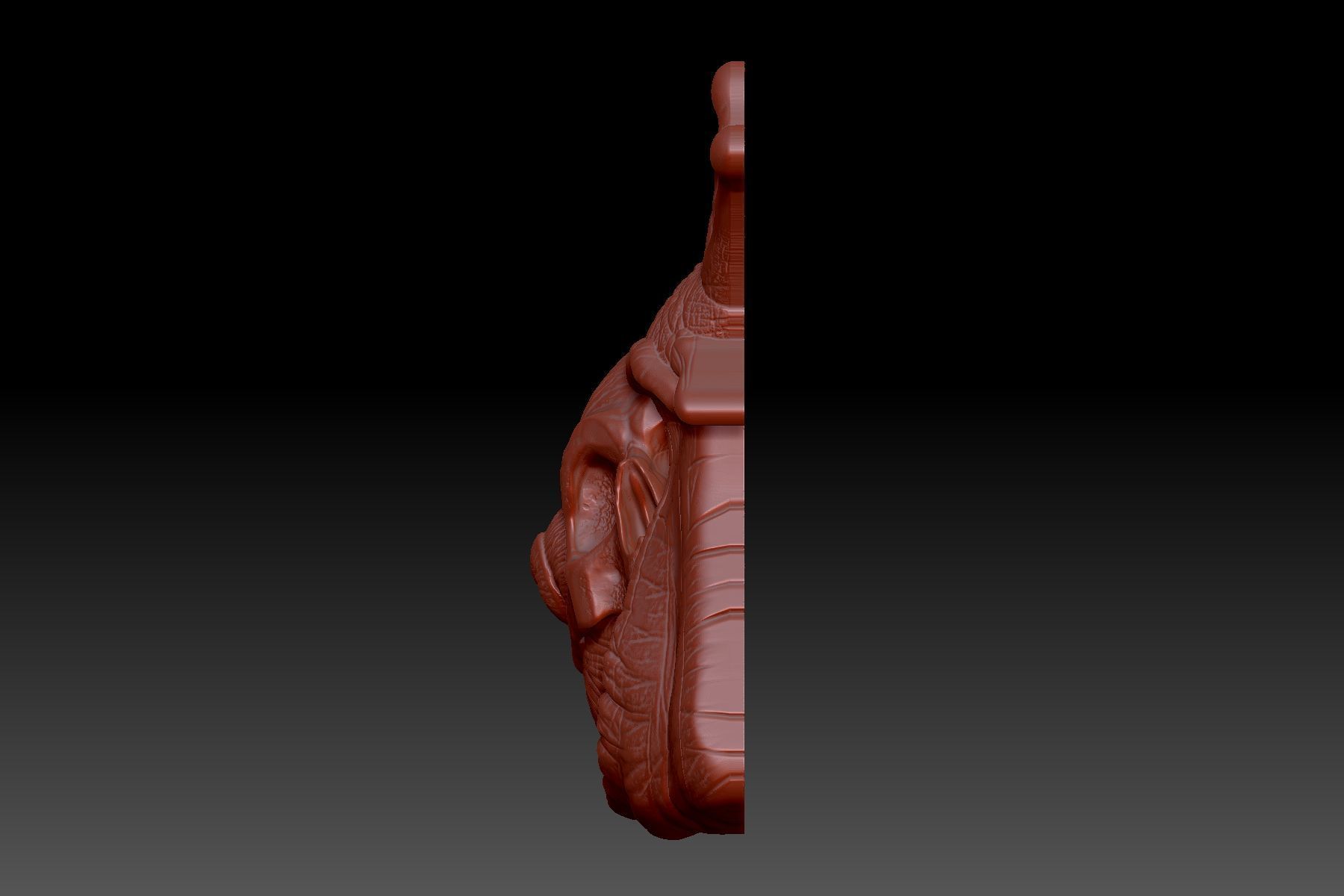 Snail skull 3D print model_1