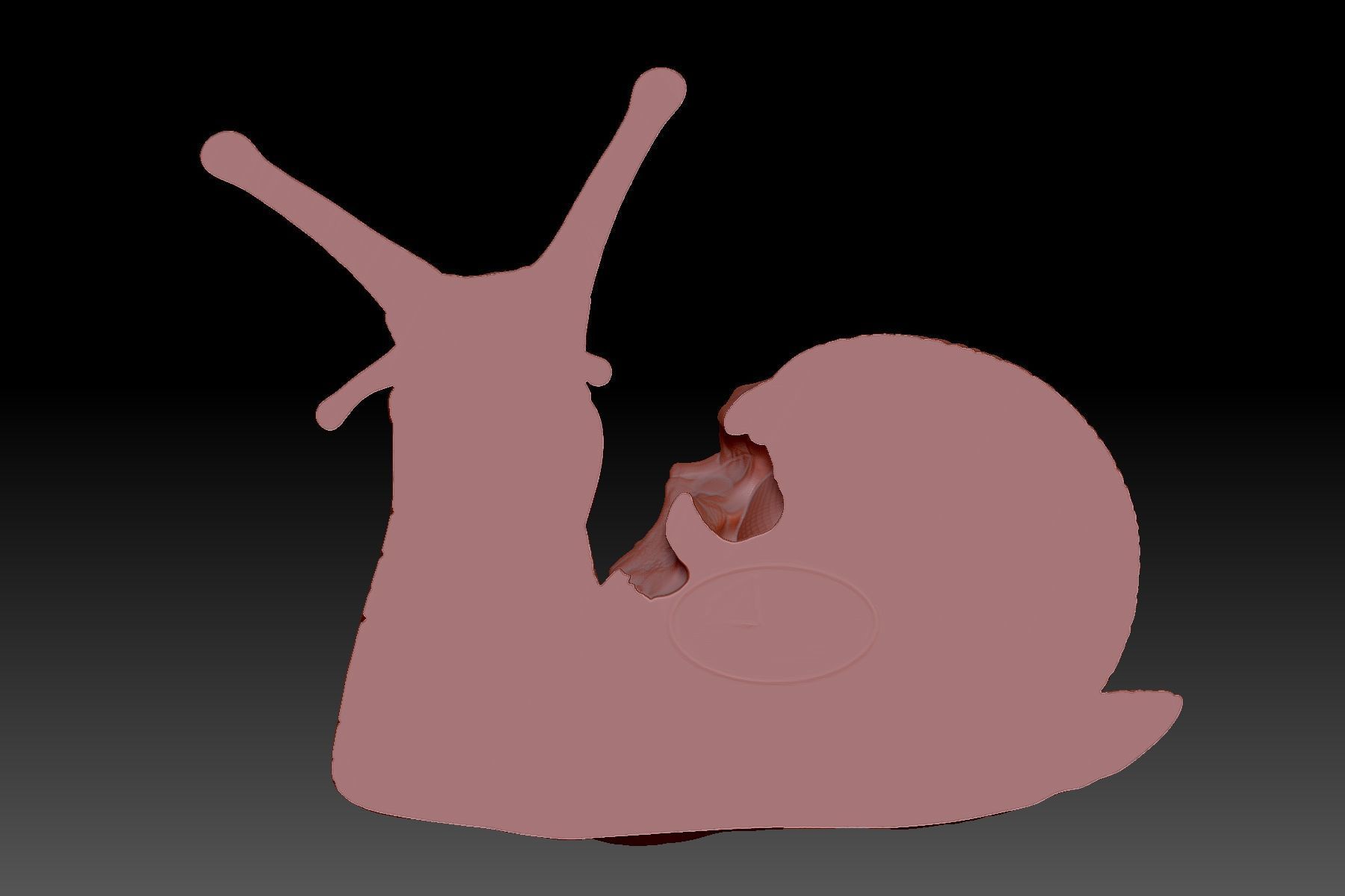 Snail skull 3D print model_2