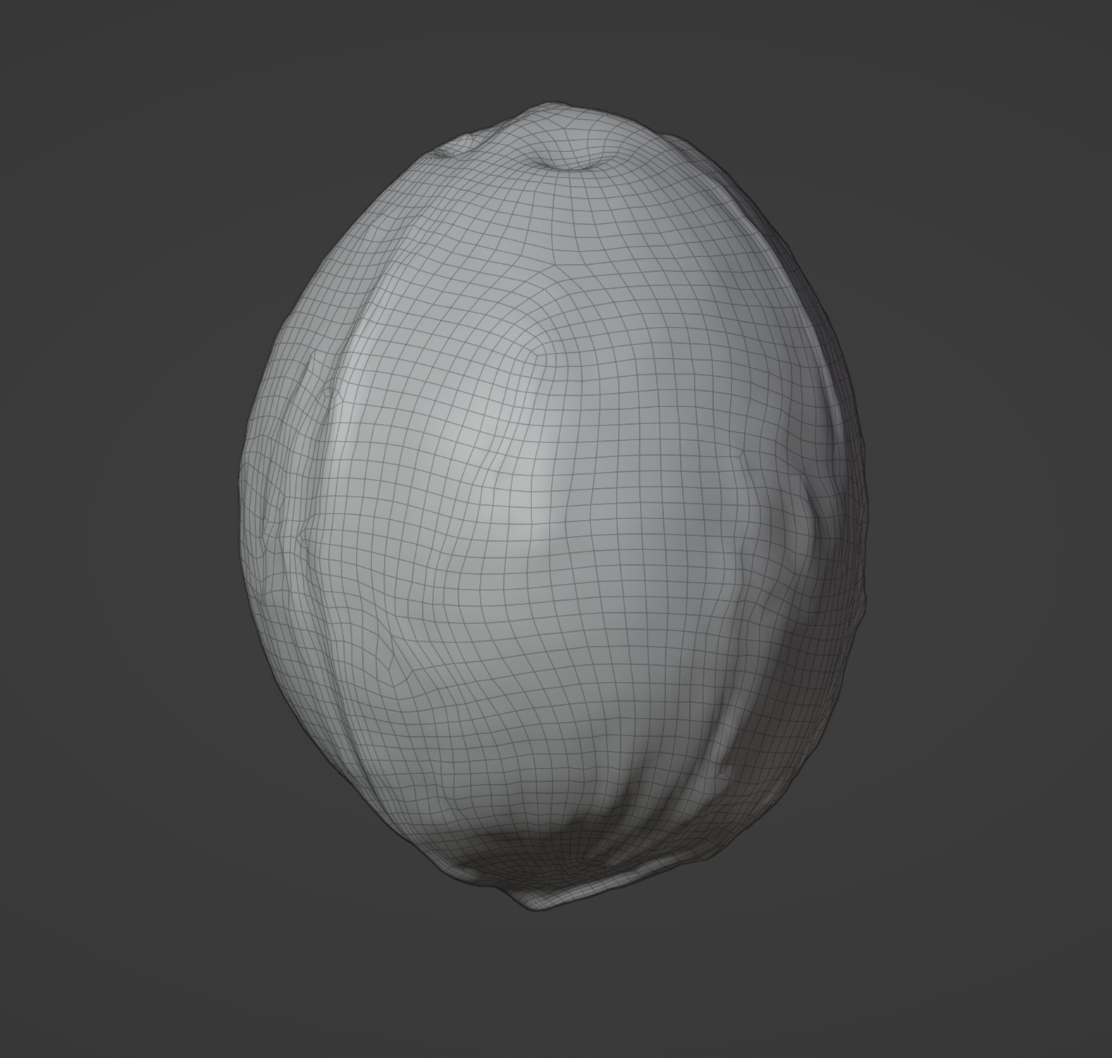 Coconut 01 3D model_6