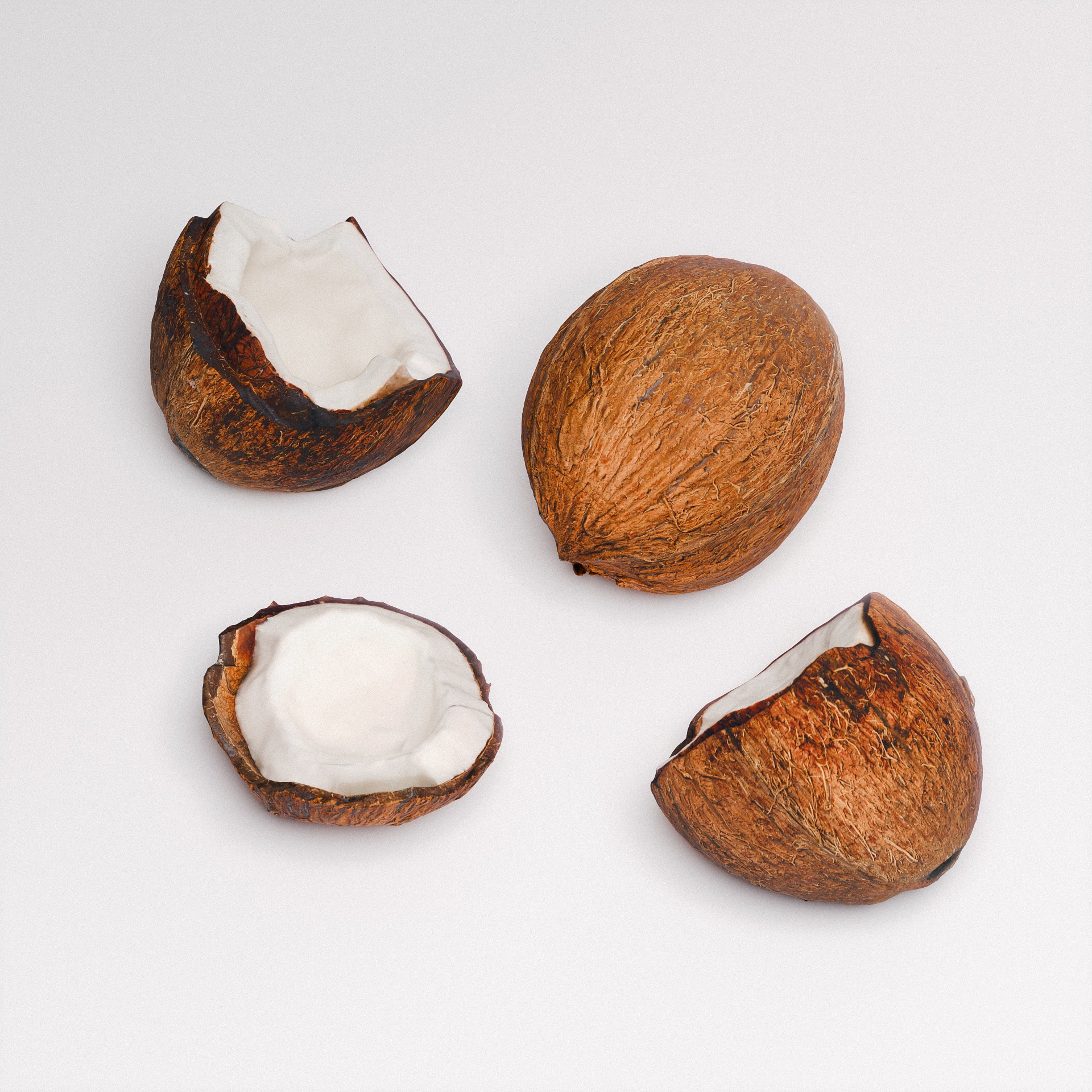 Coconut 01 3D model_3