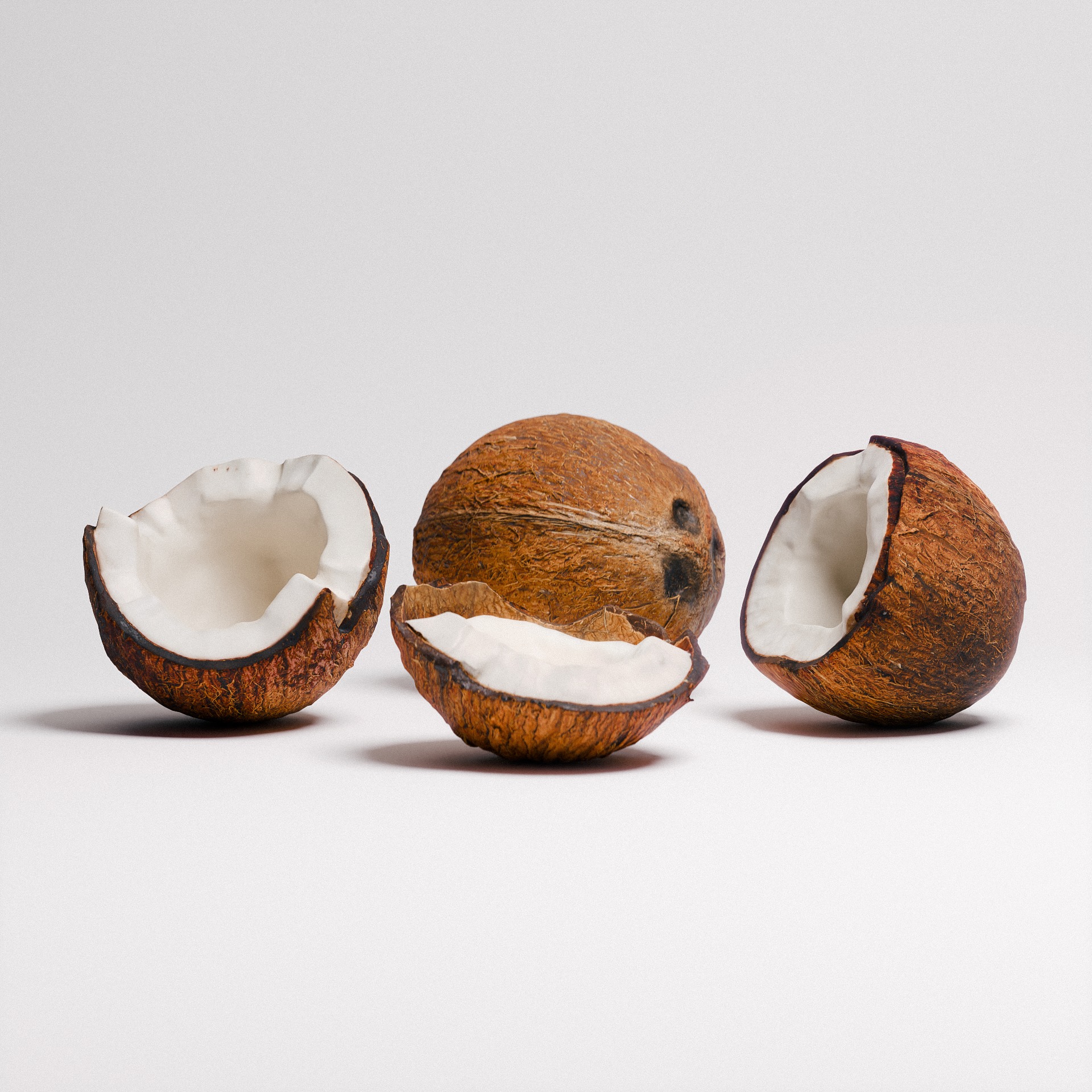 Coconut 01 3D model_4