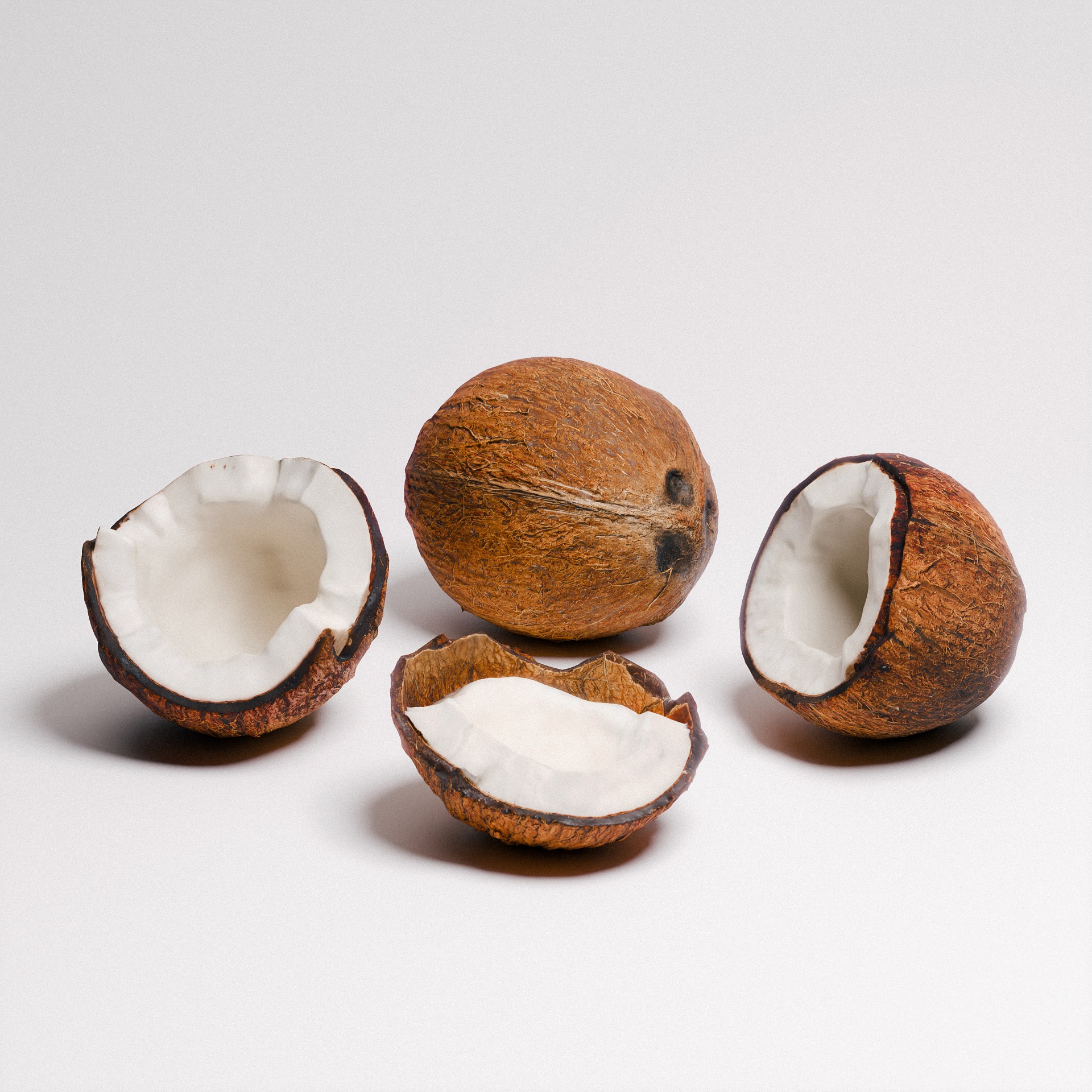 Coconut 01 3D model_0