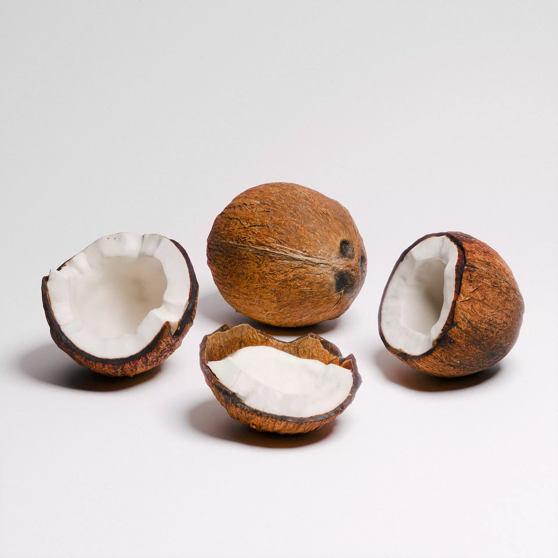 Coconut 01 3D model_0