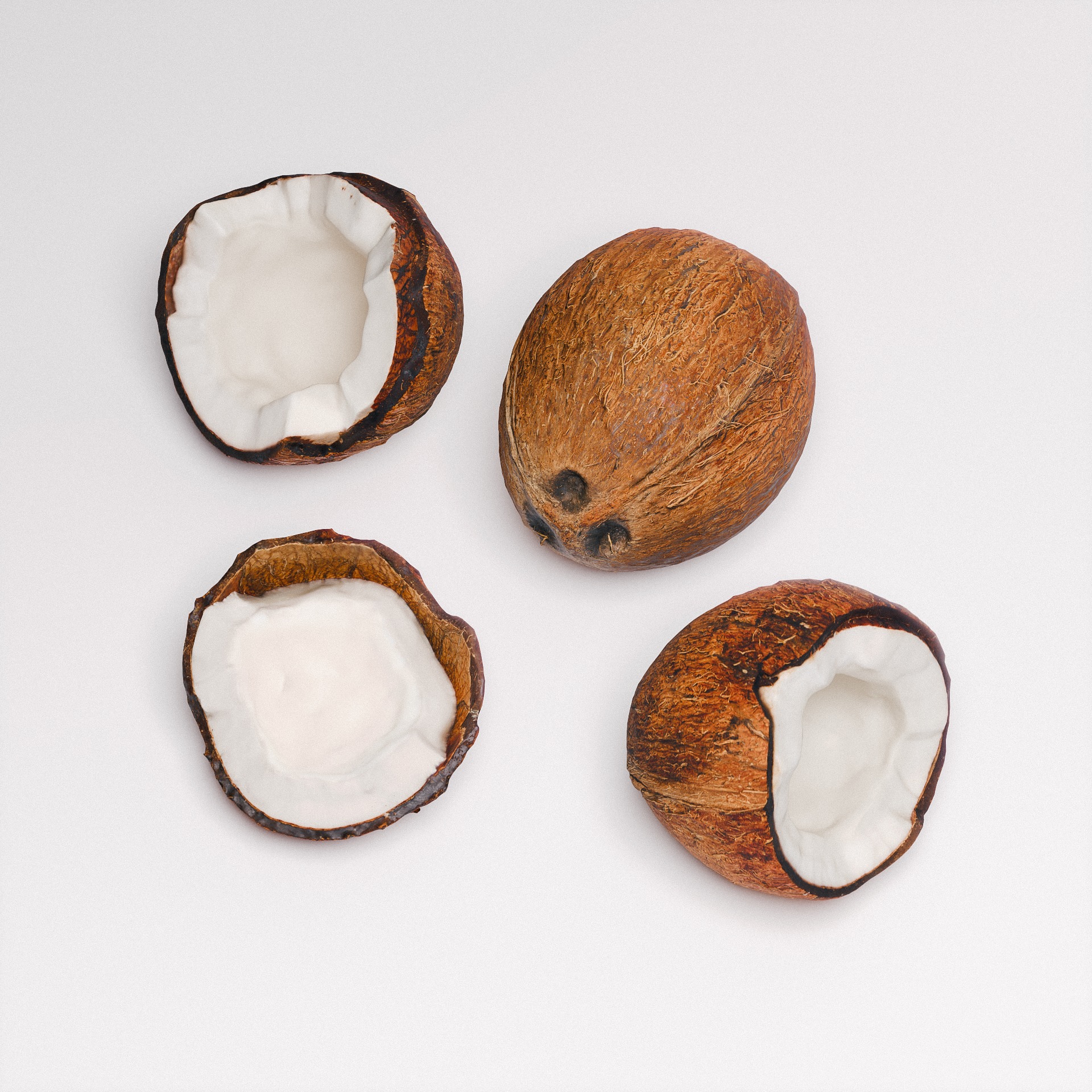 Coconut 01 3D model_2