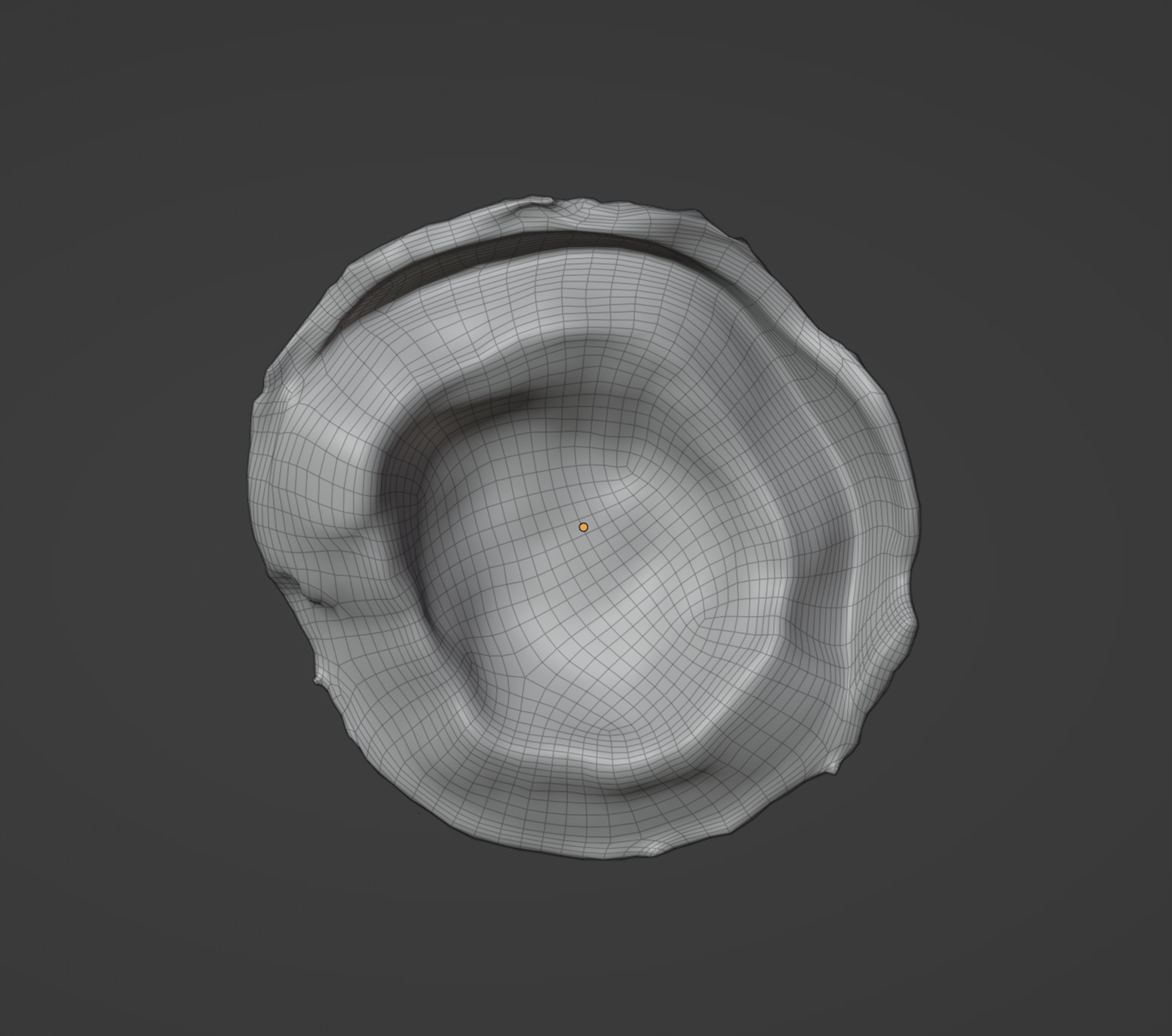 Coconut 01 3D model_9