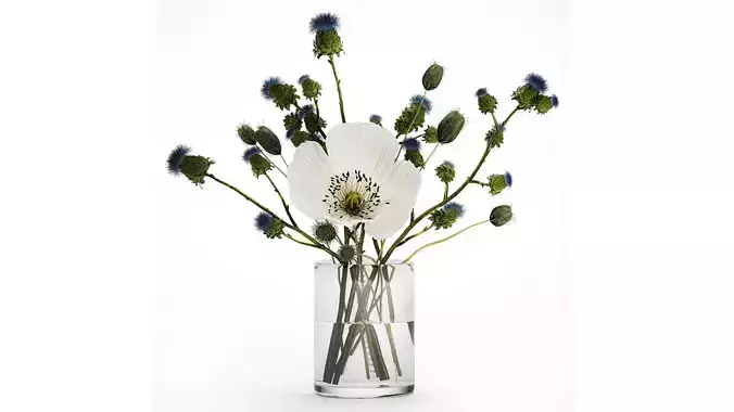 Bouquet Of White Wild Flowers Poppy Thistle Thorn 452