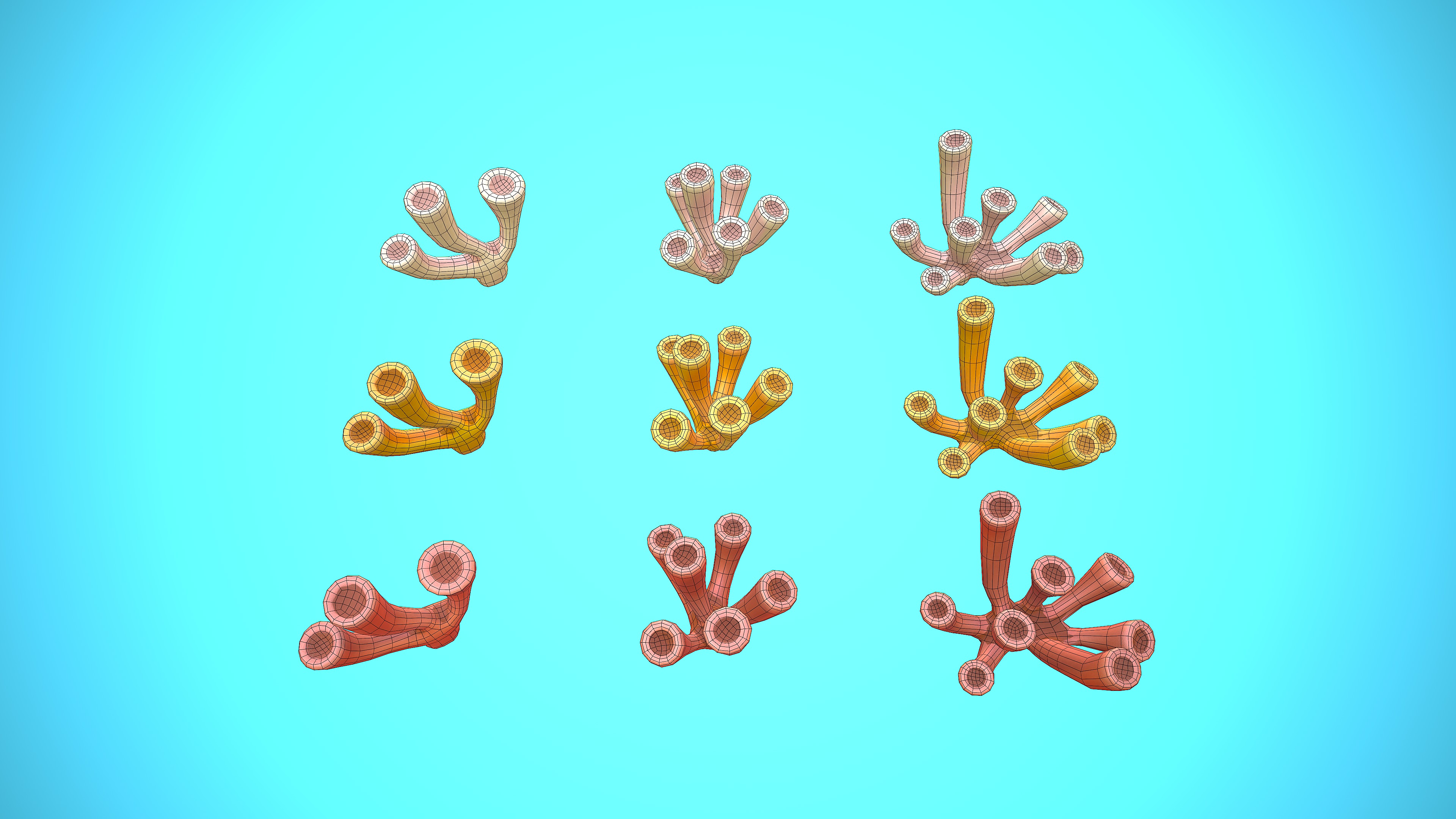 CORAL COLLECTION 01-03 CARTOON STYLIZED _4